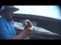 David Nisley s USDA Licensed Puppy Mill in Westby WI Wisconsin Dog Breeder