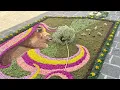 Download Lagu INFIORATA PIEVEPELAGO 2025 in 4K ! Appennino ricco di emozioni, complimenti a tutti!