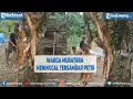 Warga Muratara Meninggal Tersambar Petir | @TRIBUNLAMPUNGNEWSVIDEO