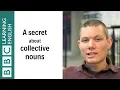 A secret about collective nouns - English In A Minute