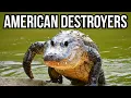3 American Animals That Would Destroy European Ecosystems