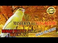 Download Lagu Masteran Burung kenari dengan jeda 1-3 MEnit kualitas HD