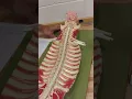 31 pairs of Spinal Nerves