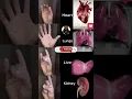 Download Lagu #hand #mudra for#heart #lungs #liver #kidney #yoga #ytshorts #love
