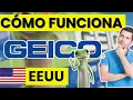 What is Geico and how does this car insurance work in the United States step by step