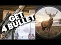 How to Get Four Bullets on Hunting Sniper 2025