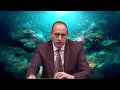 Definition and Characteristics of Submarine Canyons