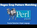 Mastering Perl Regex How to Use grep for Powerful Pattern Matching