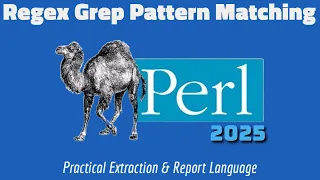 Mastering Perl Regex How to Use grep for Powerful Pattern Matching
