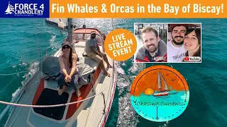 Have you met New Sailing YouTubers ‘Chasing Currents’ ?