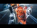 Download Lagu Homeward Bound II: Lost in San Francisco Full Movie Facts \u0026 Verdict |  Robert Hays | Kim Greist