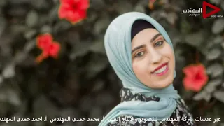 على اى حد احنا كعبنا عالى   نجم مصر احمد الباشا فرحة اولاد غزيل دندنها