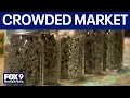 MN could see a crowded cannabis marketplace