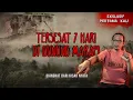 Download Lagu EDELWEISS LAMBANG KEABADIAN : PERSAHABATAN DIANTARA MAUT (1) #OMMAMAT