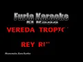 VEREDA TROPICAL  REY RUIZ DEMO FURIA KARAOKE
