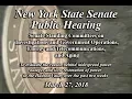 Public Hearing To evaluate the widespread power outages in the Hudson Valley - 18