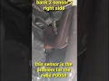 05 Dodge Durango 4 7 P0058 code oxygen sensor Bank 2 sensor 2