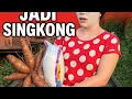 Beras Jadi Singkong