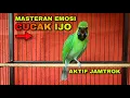 Download Lagu MASTERAN CUCAK IJO EMOSI !! AKTIF JAMTROK UNTUK BURUNG LOMBA