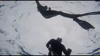 How to catch FISH sailing with no wind! Episode 26 (Sailing Catalpa)