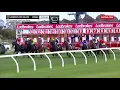 Download Lagu 2021 Listed Testa Rossa Stakes