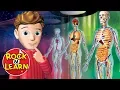 Download Lagu Human Body - Science for Kids - Rock 'N Learn