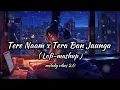 Download Lagu Tere Naam x Tera Ban Jaunga | Lofi mashup | melody vibes 2.0 | Kabir Singh | udit narayn