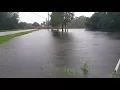 Hurricane Irma in fleming island