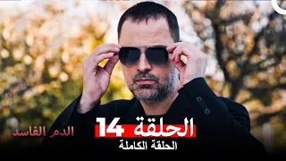 دماء فاسدة الحلقة 14 Arabic Dubbed 