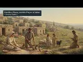 (1 Chronicles) David, the Ark, and the Promise | Illustrated Bible Story