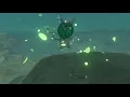 Korok seeds Spectacle Rock Wastland Tower Zelda BOTW