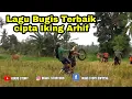 Download Lagu Motor Taksi Ojek Sawah- Lagu Bugis Viral   PEDDIMI SIMATA CIPT. IKING ARHIF @maestromusikstudio
