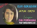 Download Lagu ELVI SUKAESIH  -  Jatuh cinta