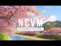 Download Lagu [No Copyright Vlog Music] Relaxing Japanese Music - Sakuya (1-4)