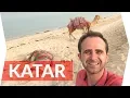 Download Lagu Çölde Kaldım, Çöl Safarisi Yaptım | Katar