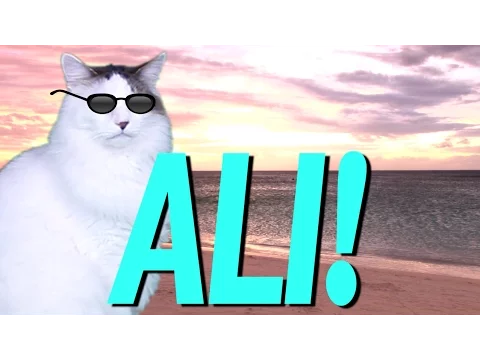 Download MP3 HAPPY BIRTHDAY ALI! - EPIC CAT Happy Birthday Song