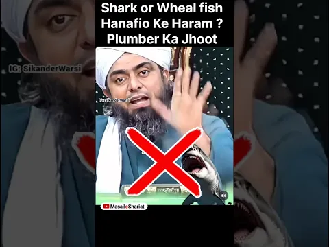 mirza plumber ka jhut shark aur wheal machhli haram hai | hanafi ulama shark haram mirza exposed