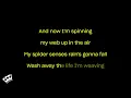 Hayley Williams - Parachute (Karaoke Version)