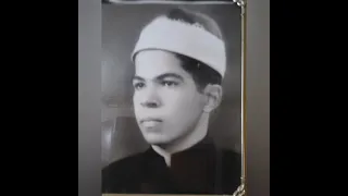 تعريف بفضيلة الدكتور محمد سيف الدين دندنها
