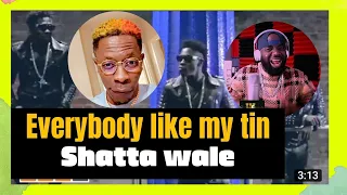 must watch shatta wale everybody like my tin official video reaction video 