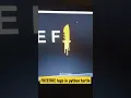 FREE FIRE Logo Drawing Using Python Turtle Python For Beginners BGMI FreeFireIndiaOfficial