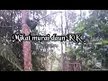 Download Lagu Mikat cucak ijo kepala kuning/ Murai Daun kk