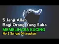 Download Lagu Inilah 5 Janji Allah Bagi Yang Suka Memelihara Kucing Menurut Islam, No.5 Paling Diharapkan