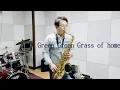 Green Green Grass of Home/고향의푸른잔디/조영남/박기철색소폰