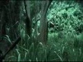 Kelly Lake Tribute