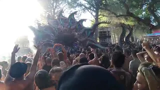 astral projection live at zna gathering