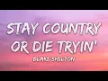 Blake Shelton - Stay Country Or Die Tryin' (Lyrics)