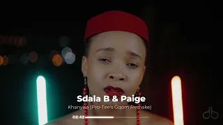 sdala b u0026 paige khanyisa pro tees gqom remake 