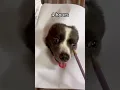Realistic drawing challenge I accidentally drew a gif image