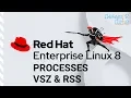 Linux Processes Memory Management - VSZ RSS